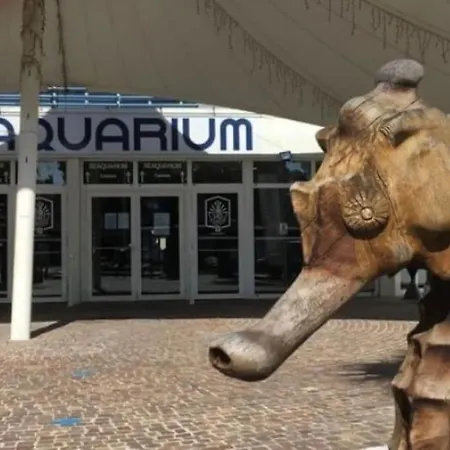 Du Roi Plage Seaquarium *