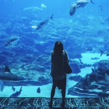 Du Roi Plage Seaquarium * Le Grau-du-Roi
